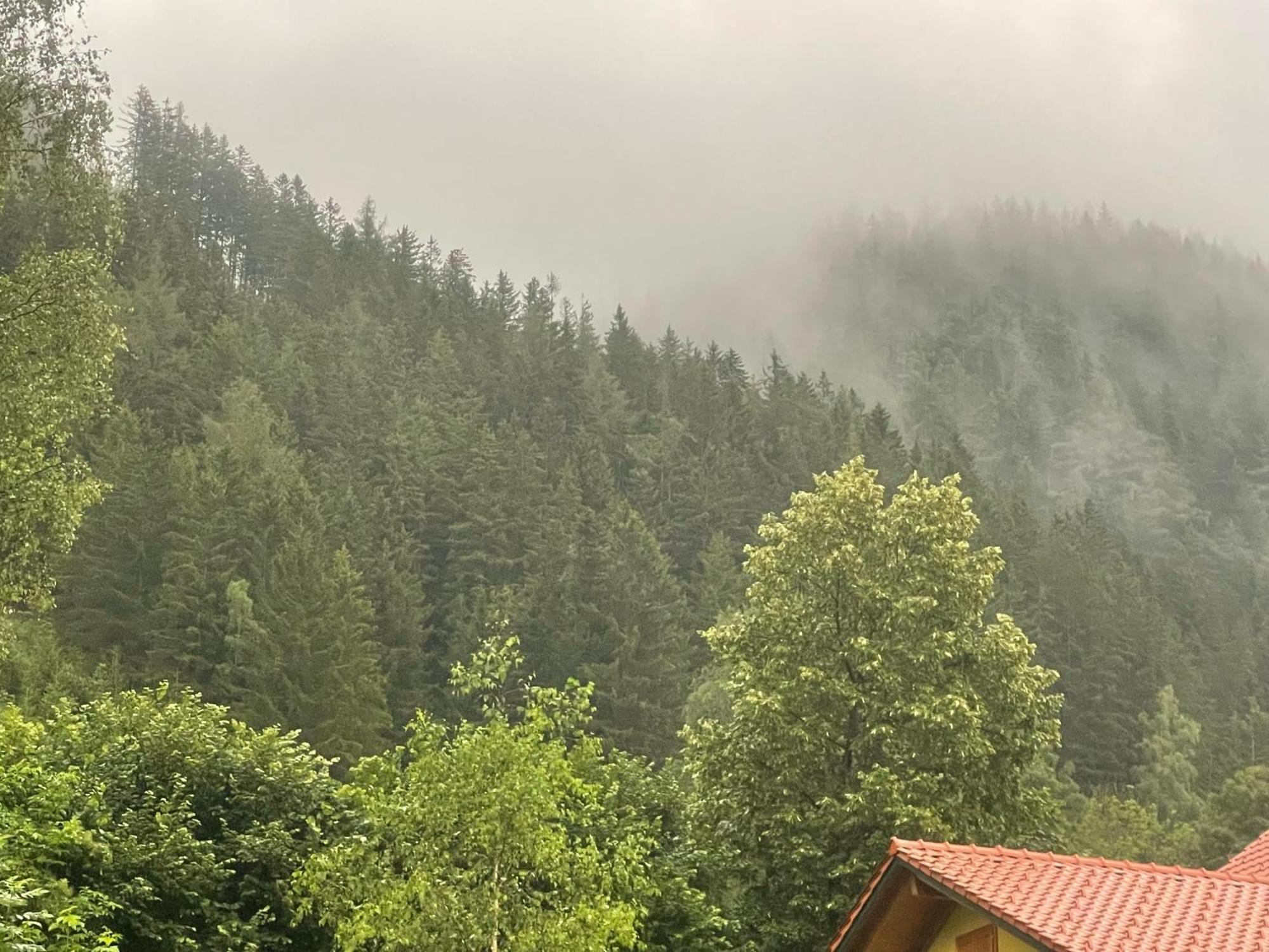 Gruener See Exklusiv Oberort Екстер'єр фото